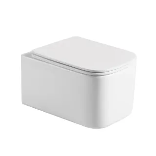 Подвесной унитаз Boheme Mane 970-SET-MW безободковый белый матовый